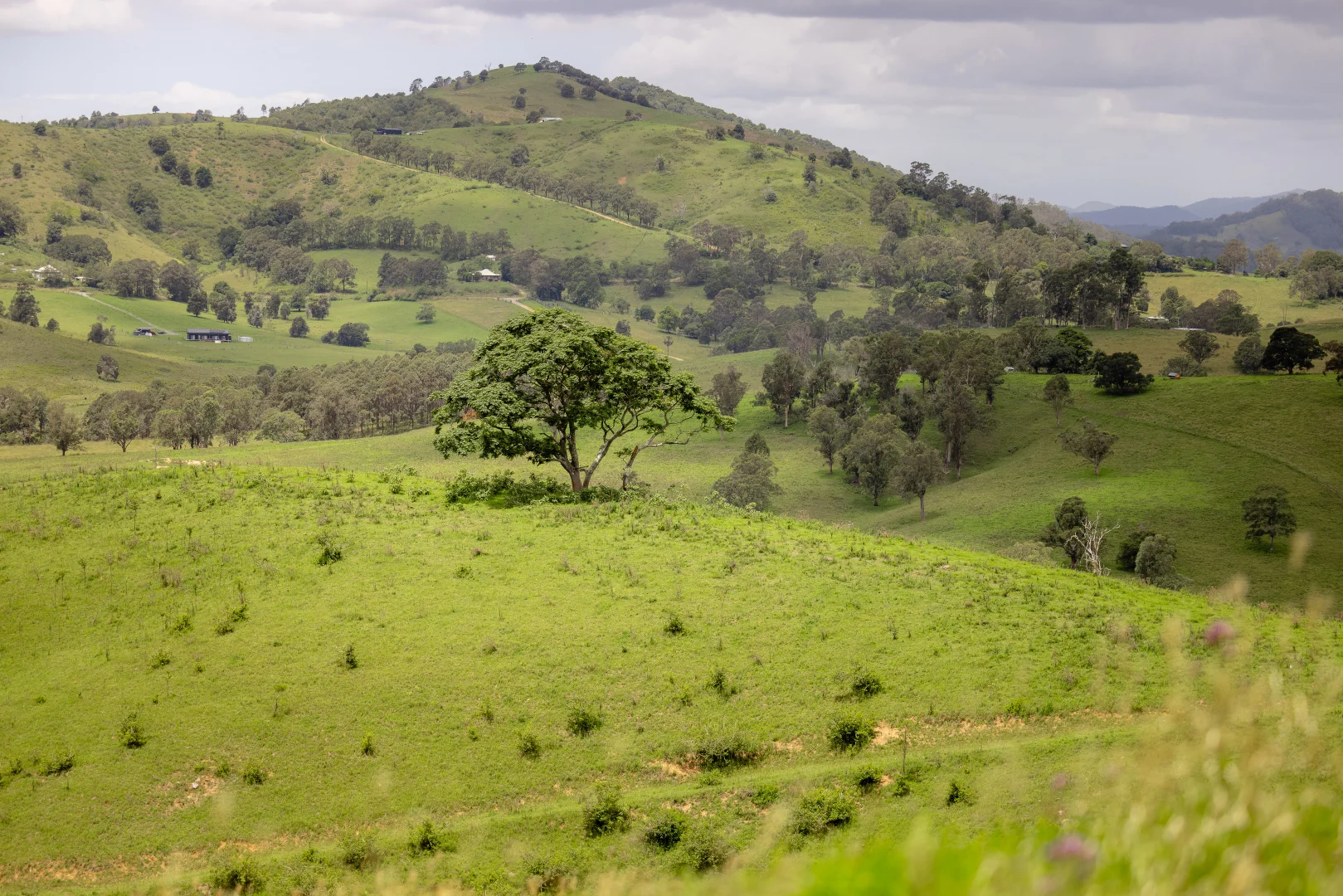 Additional image 12 of 39 Sambells Road, Firefly NSW 2429