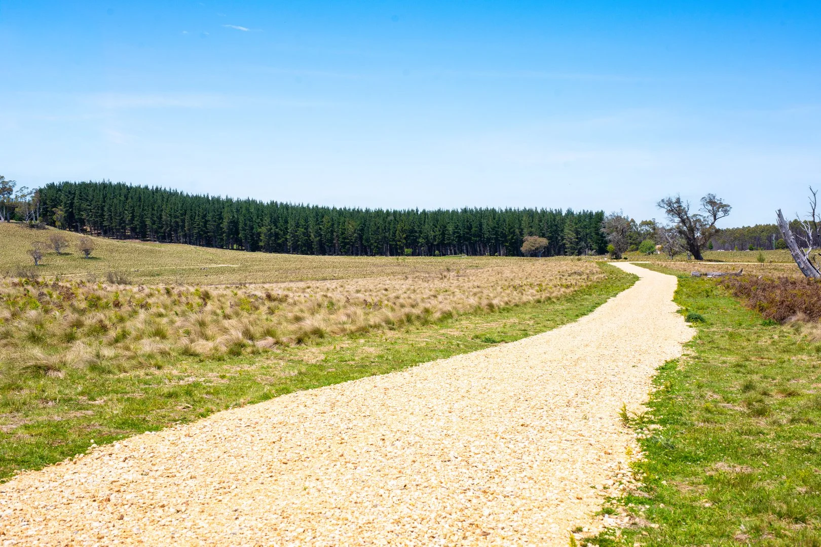 Additional image 7 of Thornleigh Coolangubra Road, Cathcart NSW 2632
