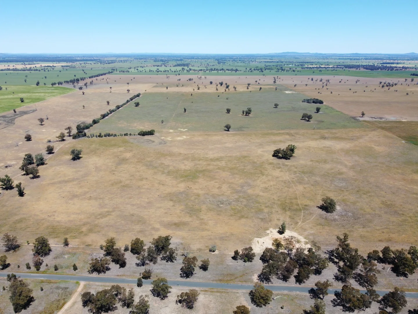 Additional image 5 of 1539 Bland Road, Quandialla NSW 2721