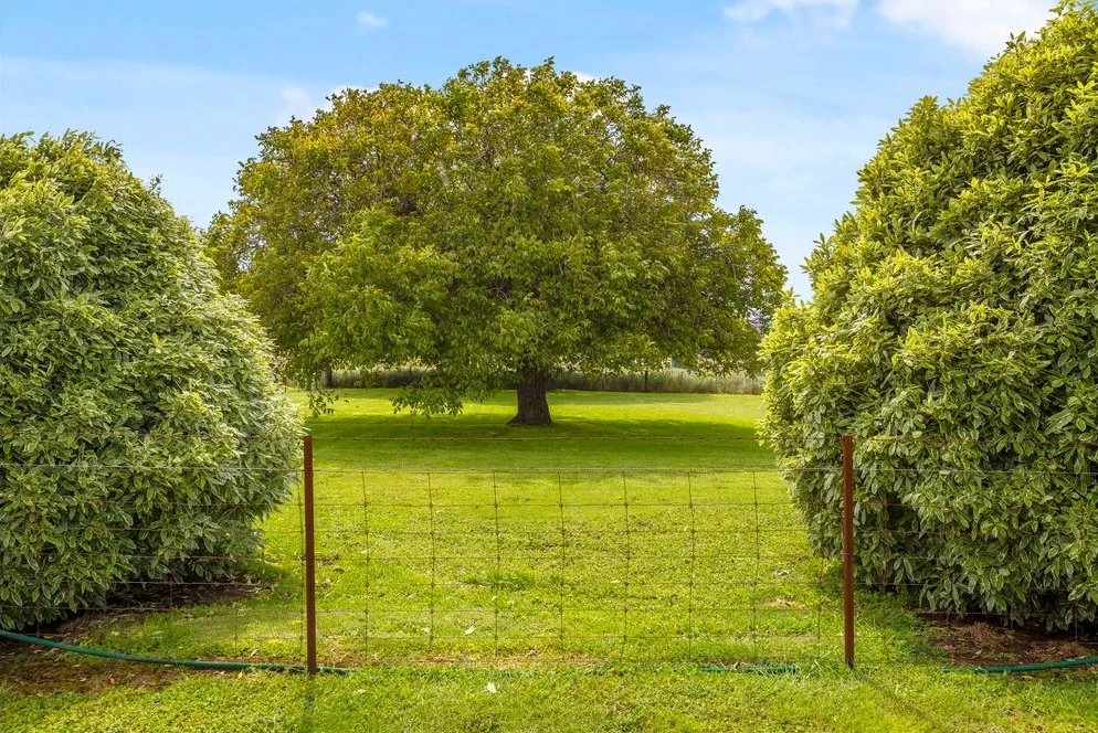 Additional image 31 of 'Hawthorn Park' 83 Sheehans Road, Romsey VIC 3434