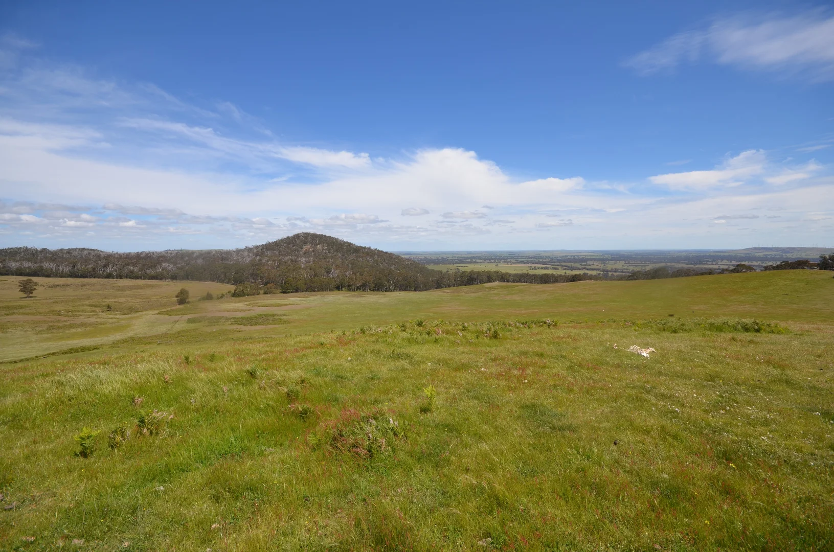 Additional image 13 of 48b + 48c Saddle Road, Buangor VIC 3375