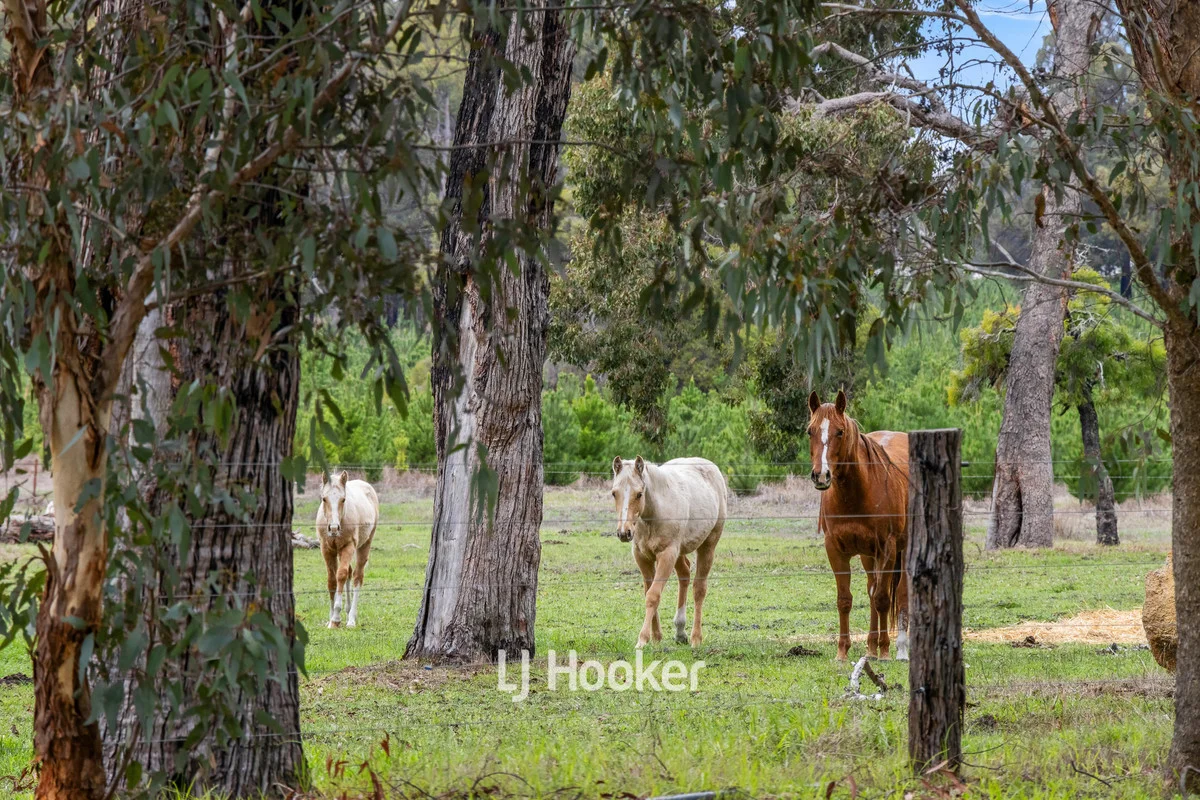 Additional image 8 of 660 McAlinden Road, McAlinden WA 6225