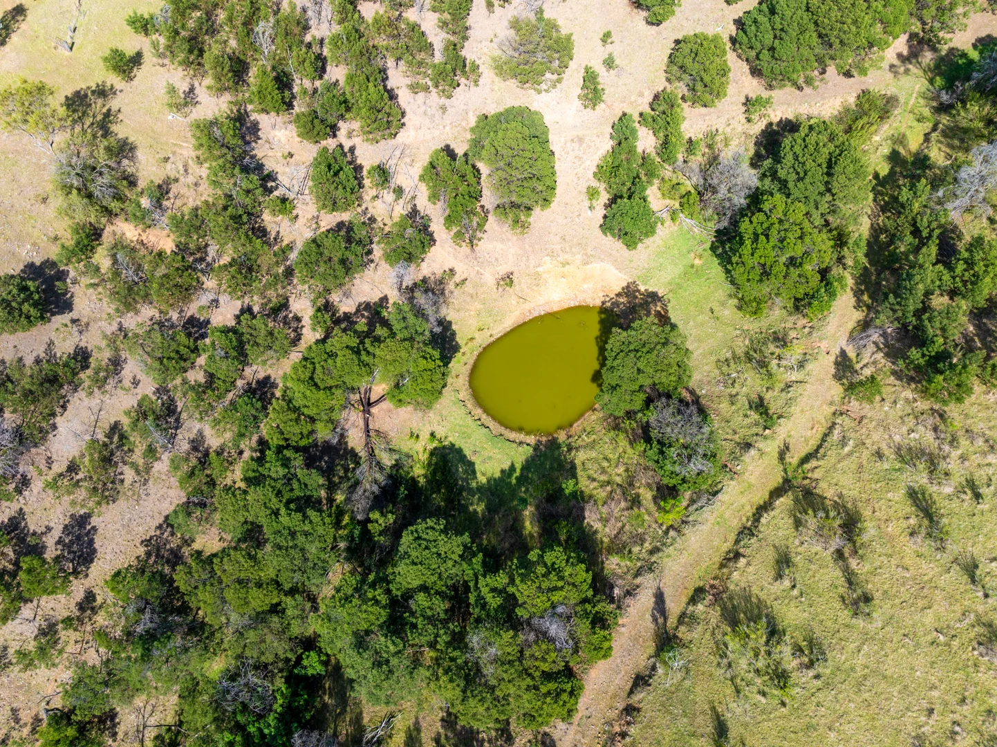 Additional image 7 of 1139 Ensay-Doctors Flat Road, Ensay VIC 3895