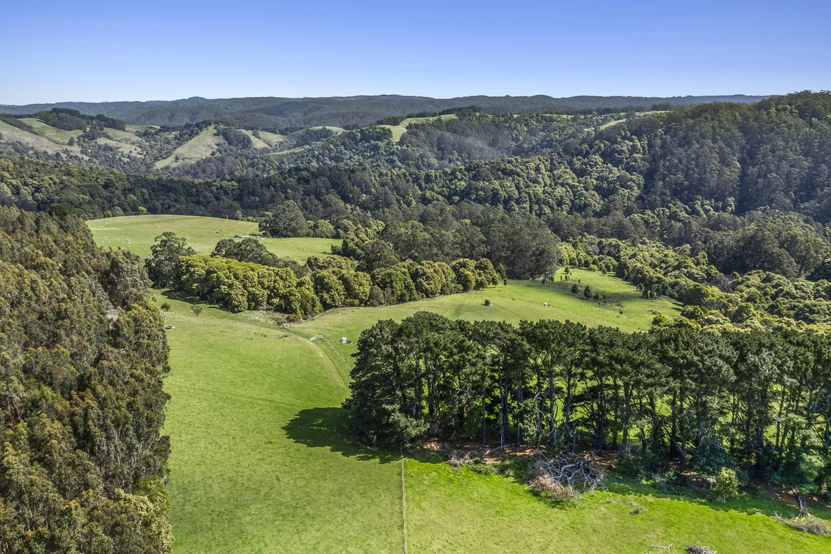 Additional image 5 of 675 Skenes Creek Road, Skenes Creek North VIC 3233