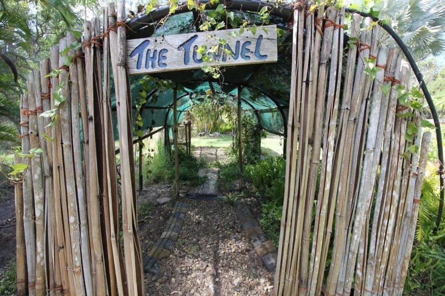 Additional image 27 of 492 Capricornia Drive, Deepwater QLD 4674