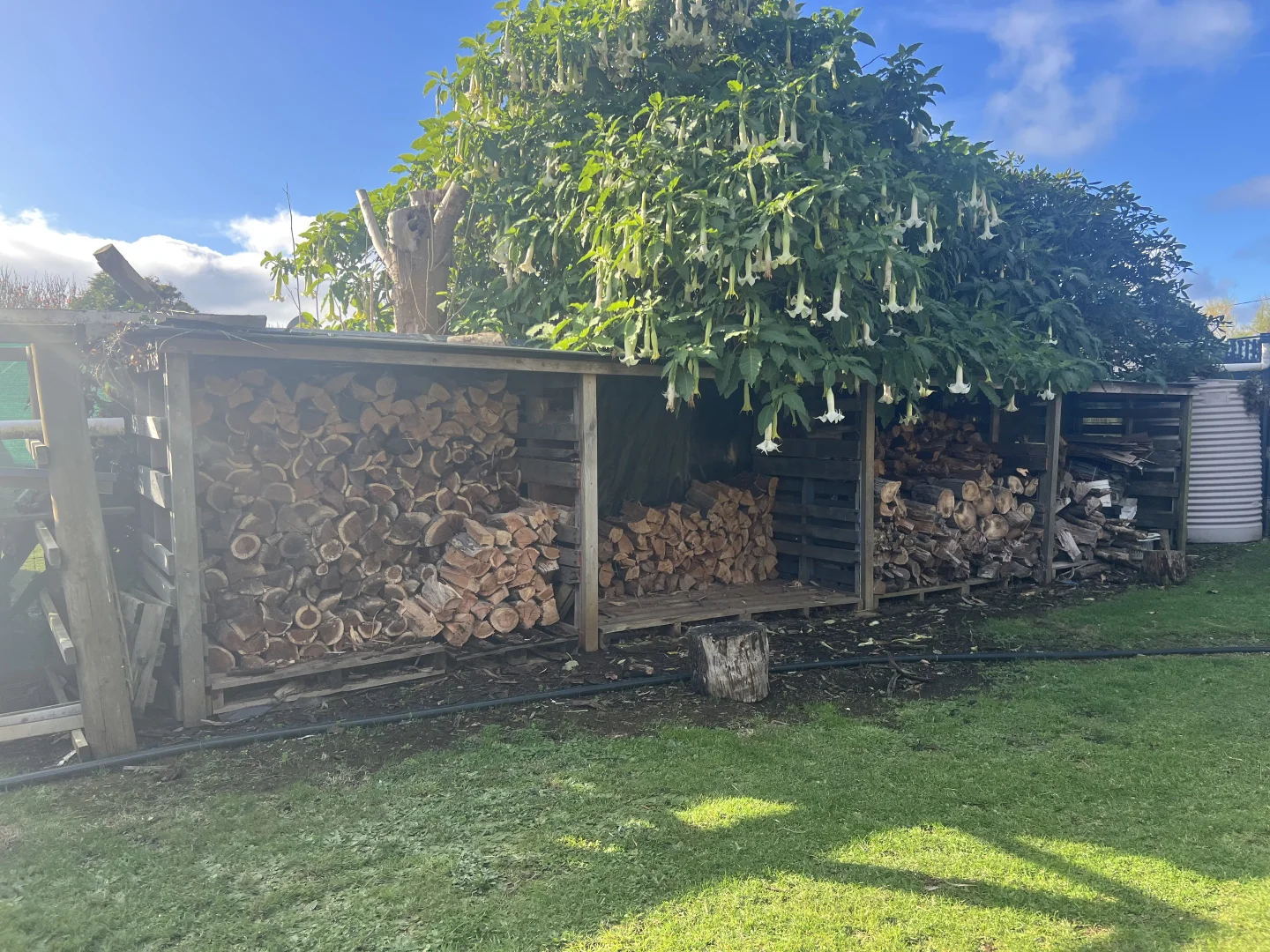 Additional image 33 of 19 Forrest Street, Naracoopa TAS 7256