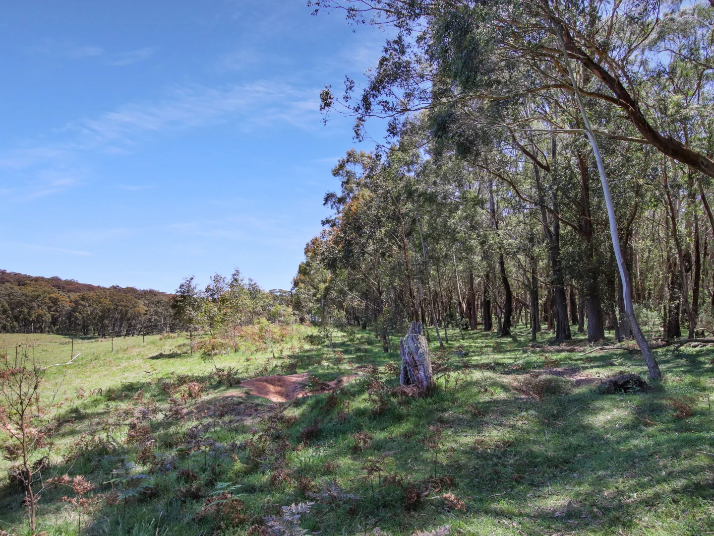 Additional image 24 of 12 Bluebell Road, Braidwood NSW 2622