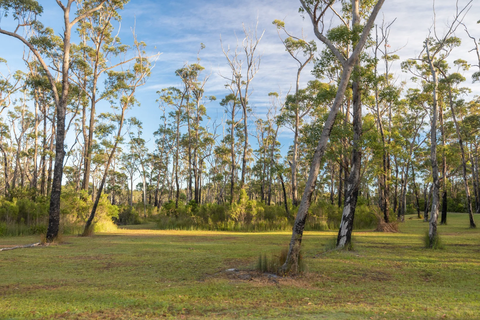 Additional image 15 of 531 Skylark Close, Bawley Point NSW 2539