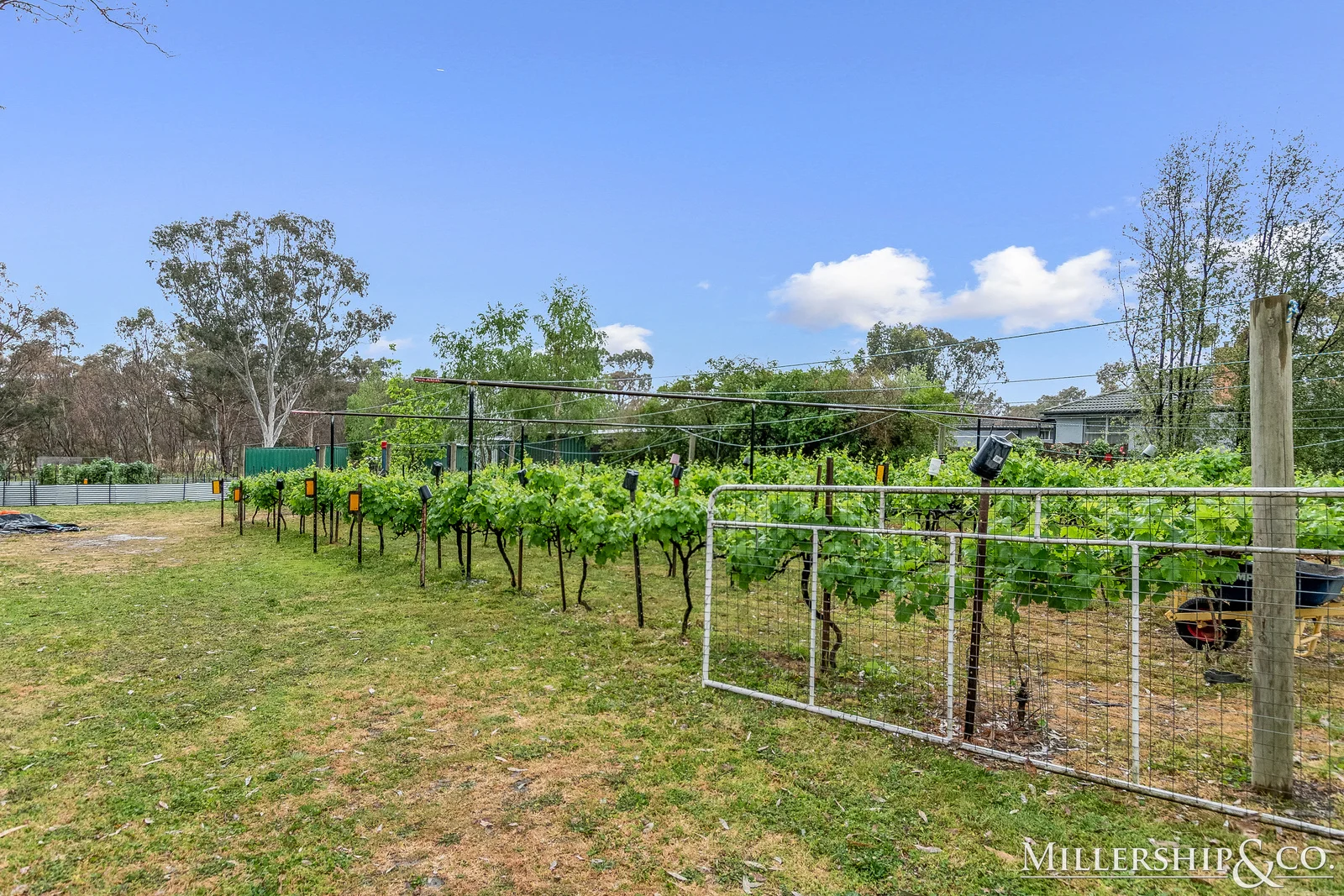 Additional image 16 of Yarrambat VIC 3091