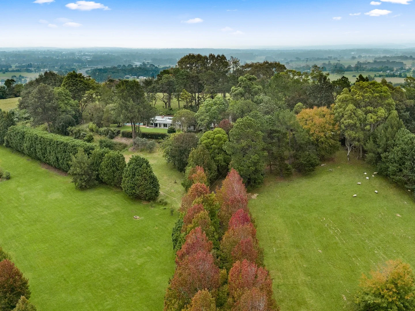 Additional image 40 of 195 Devitts Lane, Meroo Meadow NSW 2540