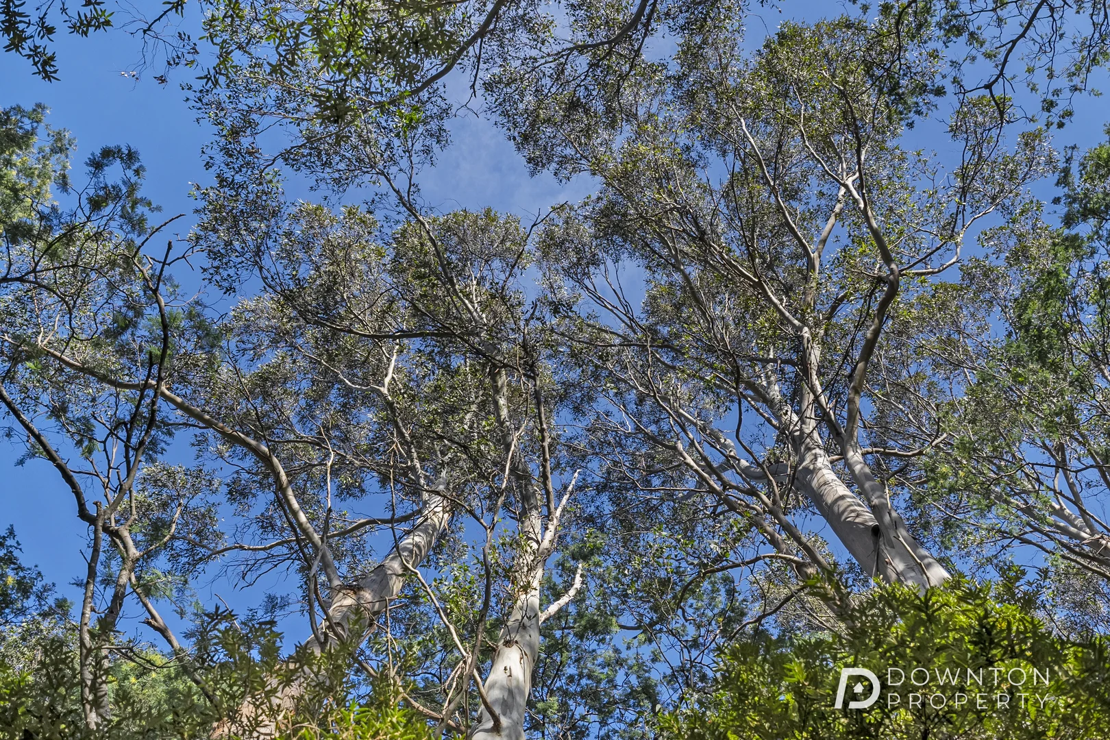 Additional image 16 of 37 Grays Road, Fern Tree TAS 7054