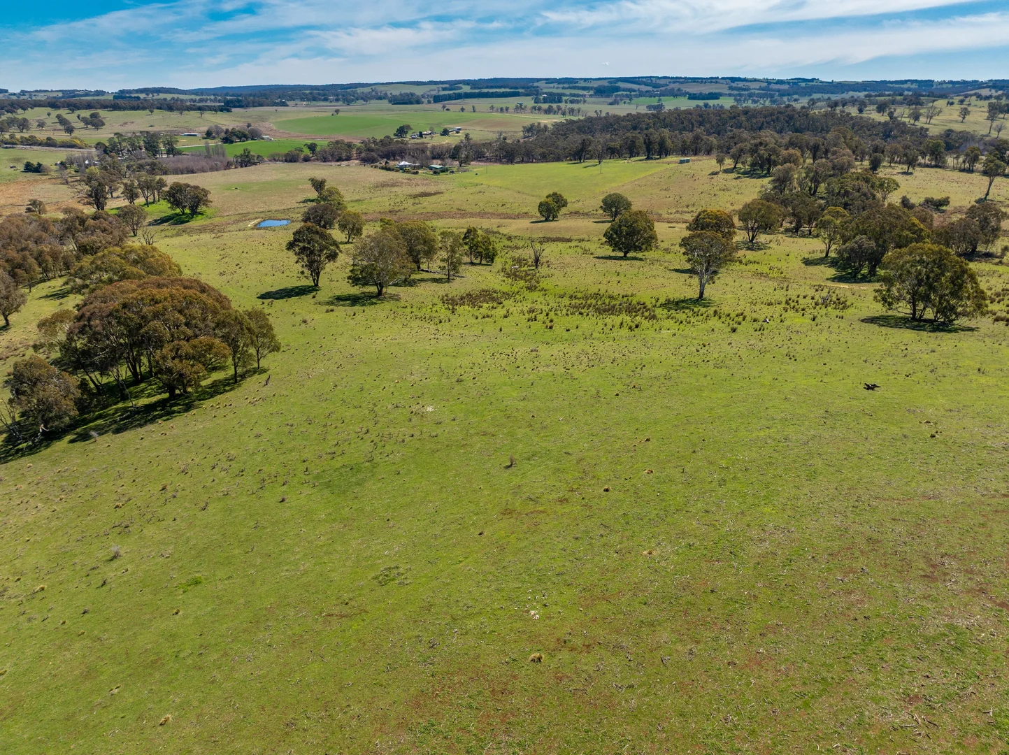 Additional image 30 of 5353 Trunkey Road, Trunkey Creek NSW 2795