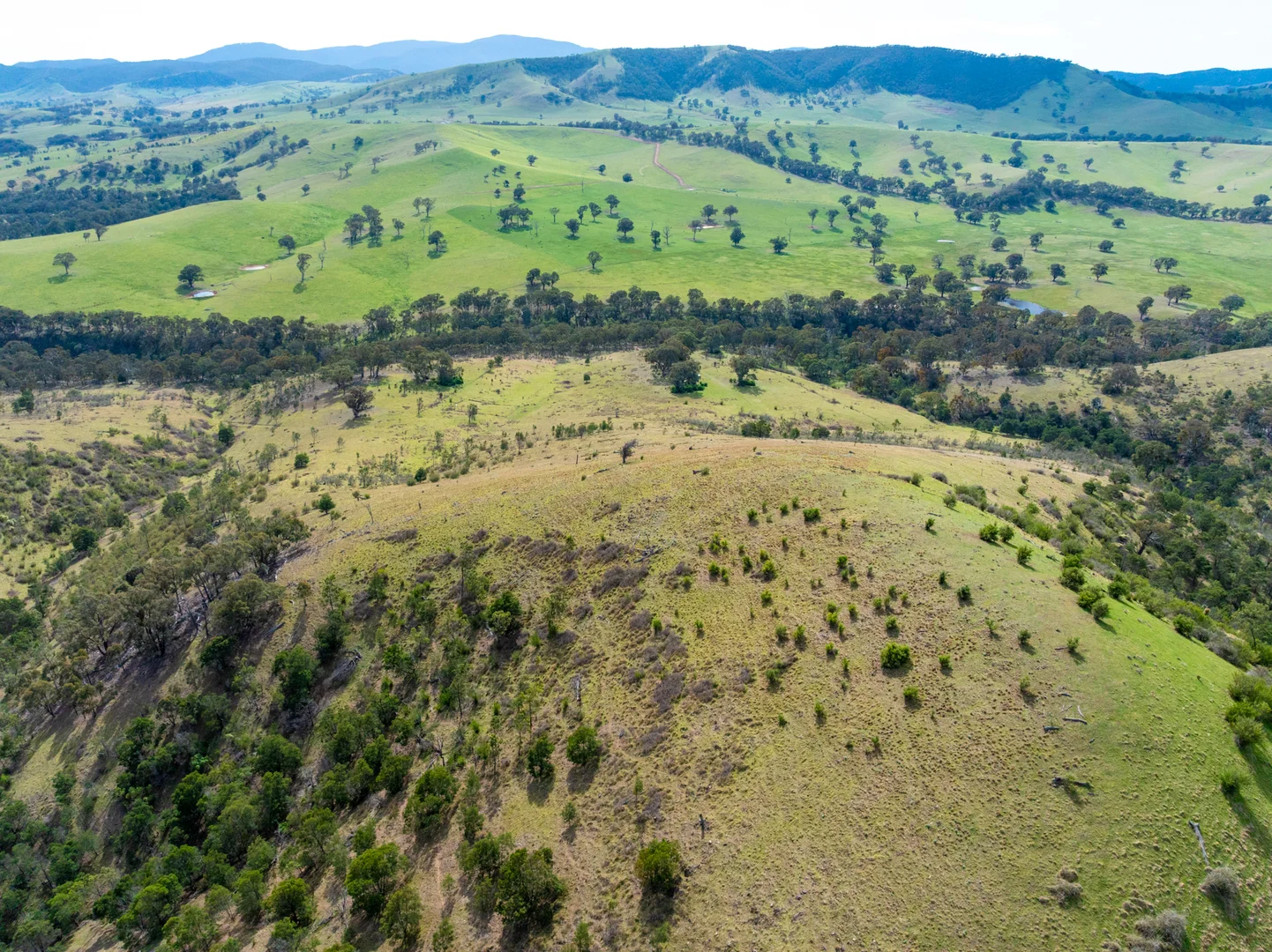 Additional image 6 of 1139 Ensay-Doctors Flat Road, Ensay VIC 3895
