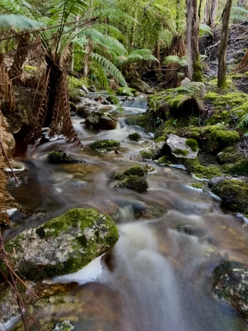 Additional image 2 of 1390 Loongana Road, Loongana TAS 7315