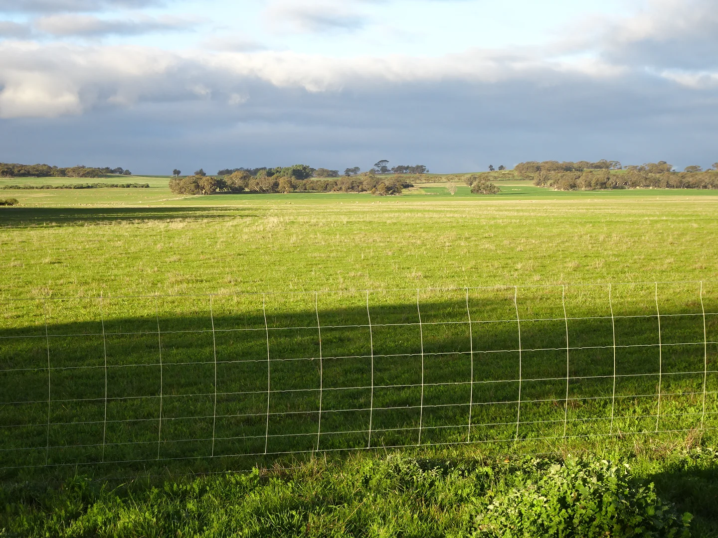 Additional image 11 of Lot 12520 Great Southern Highway, Woodanilling WA 6316