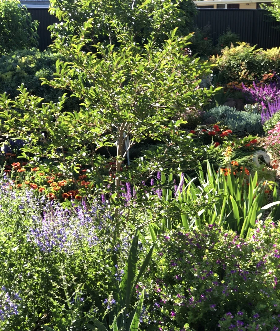 Additional image 4 of 17 Leander Crescent, Greenacres SA 5086