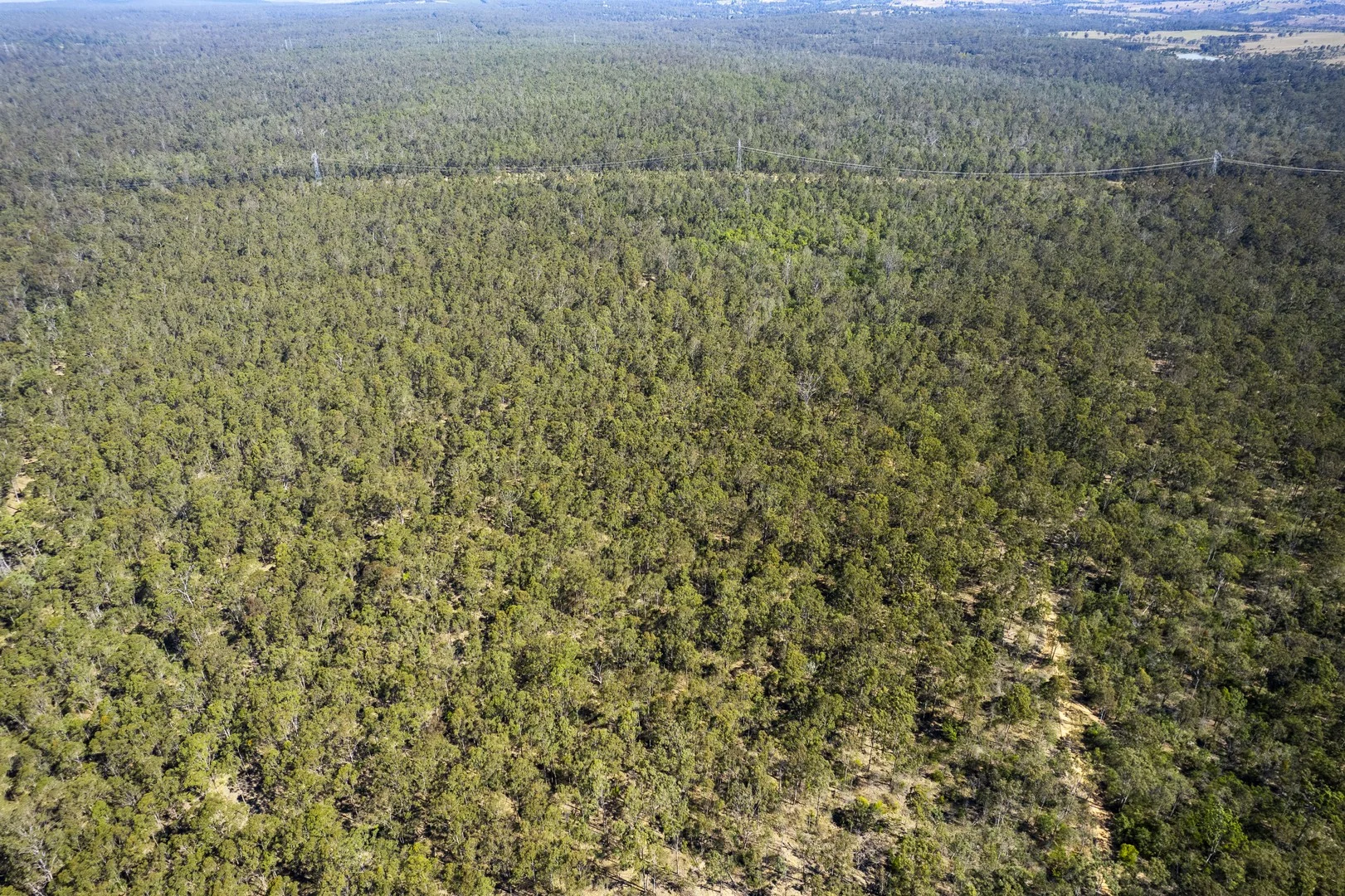 Additional image 7 of 151 Cameron Road, Taromeo QLD 4314