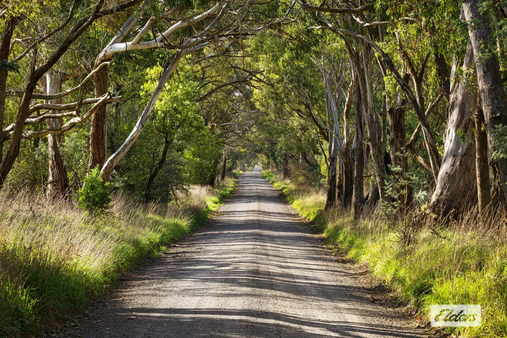 Additional image 10 of Monument Road, Romsey VIC 3434