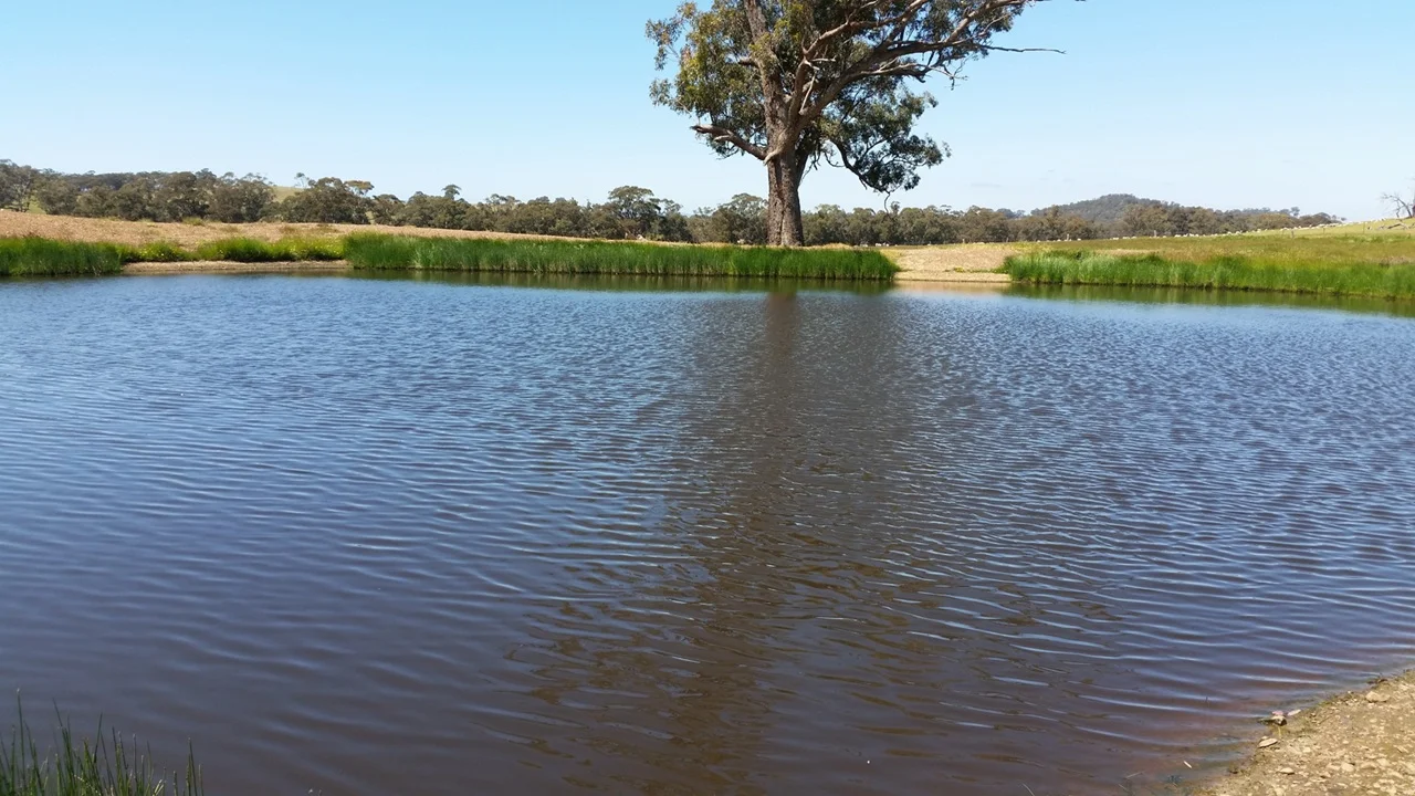 Additional image 6 of 78 Cherry Tree Road, Nagambie VIC 3608