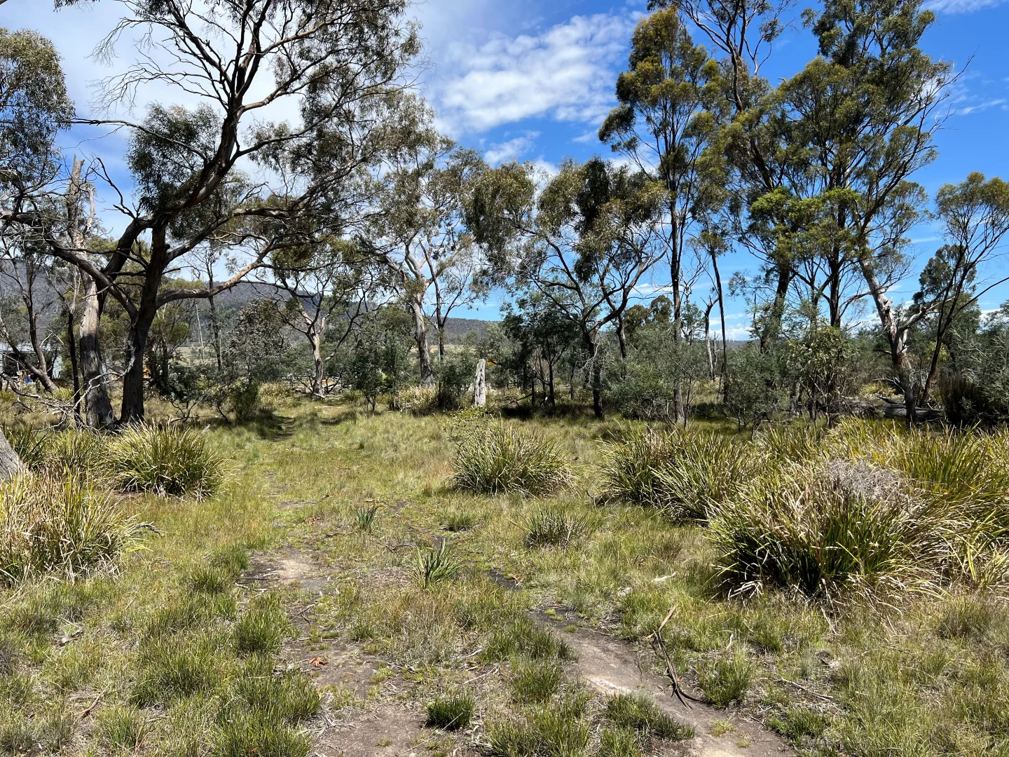 Additional image 9 of 3 Leona Road, Avoca TAS 7213