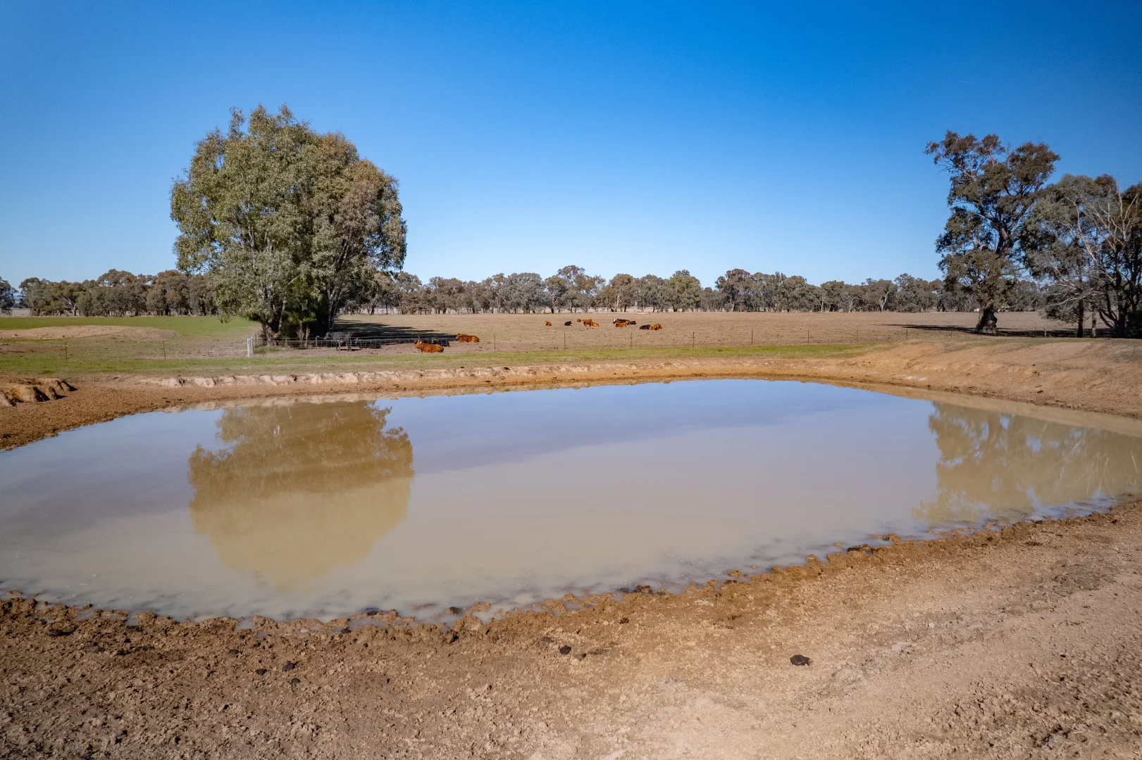 Additional image 17 of 486 Carraragarmungee Estate Road, Byawatha VIC 3678