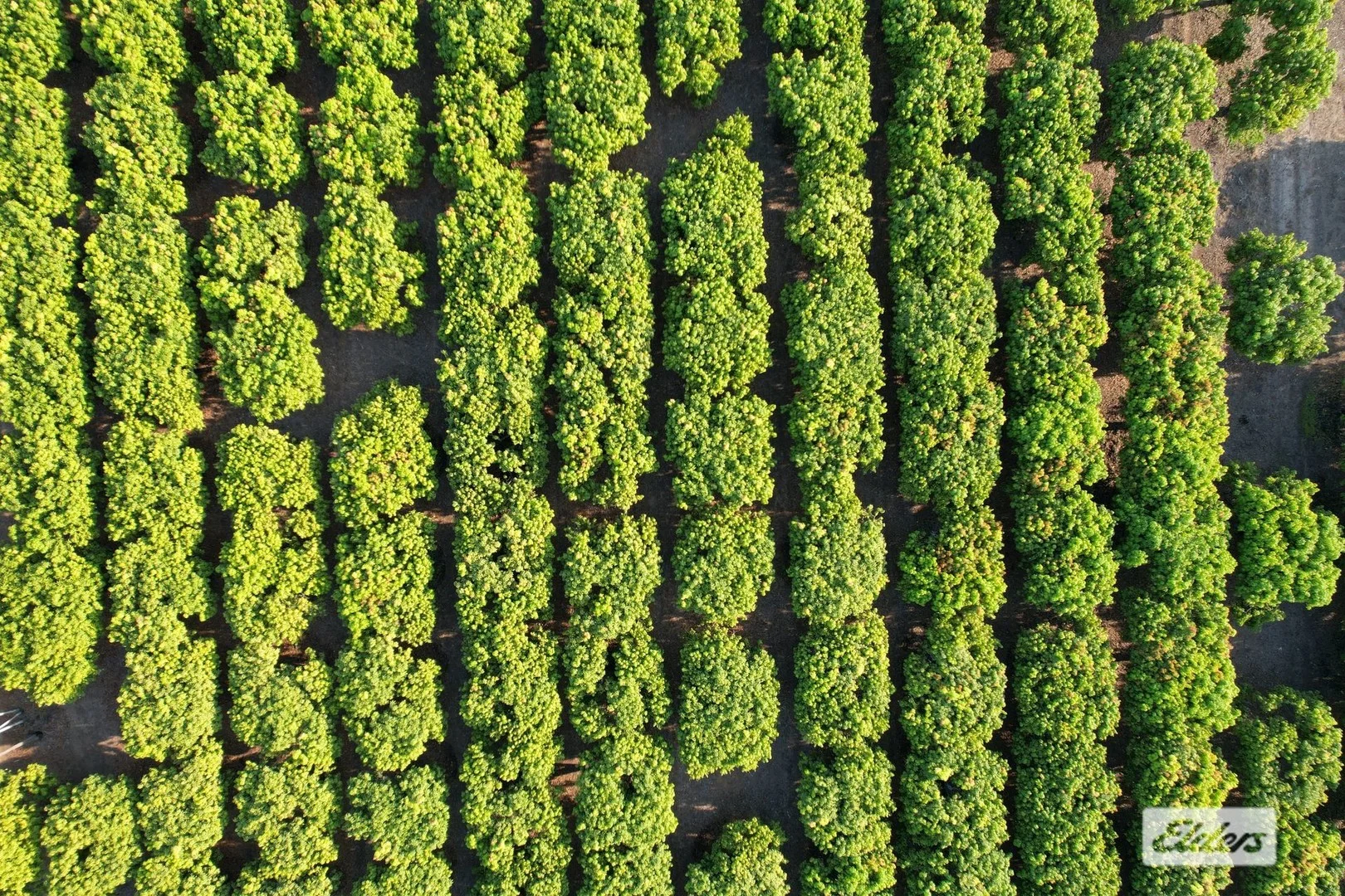 Additional image 9 of 80 & 100 Russ Road, Tumbling Waters NT 0822