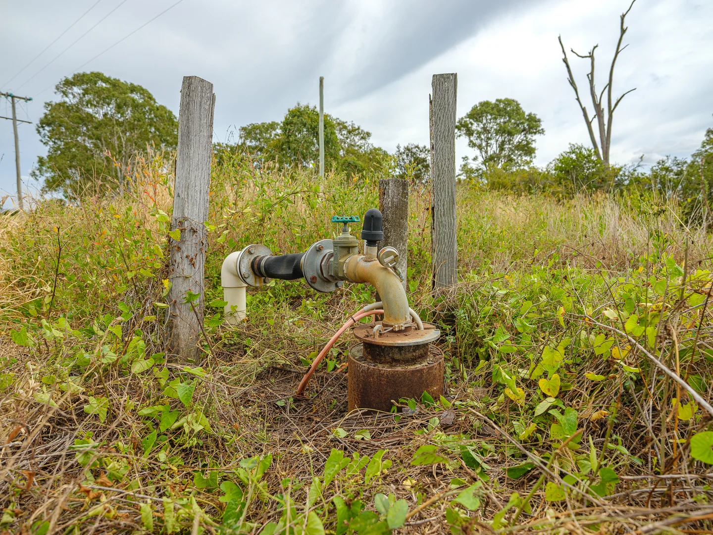 Additional image 11 of 424 Campbells Road, Silverleaf QLD 4605