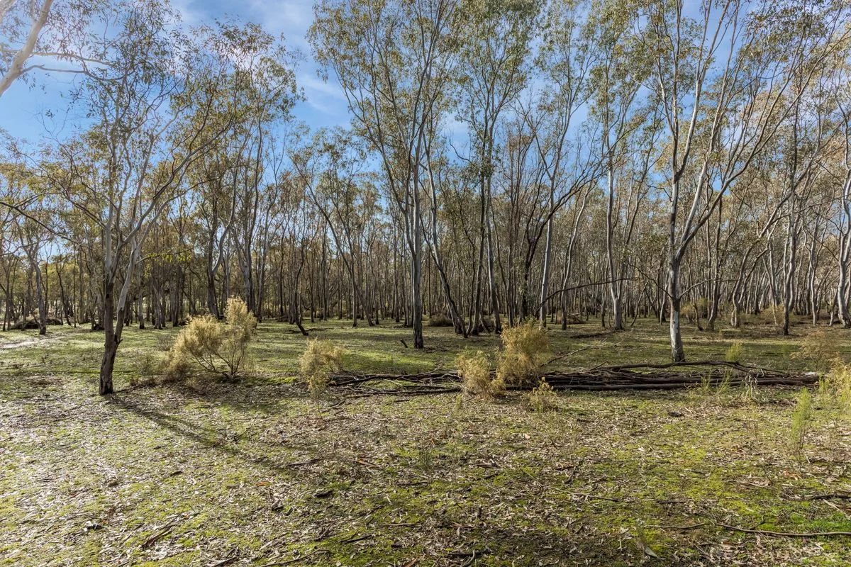 Wilson Road, Heathcote VIC 3523