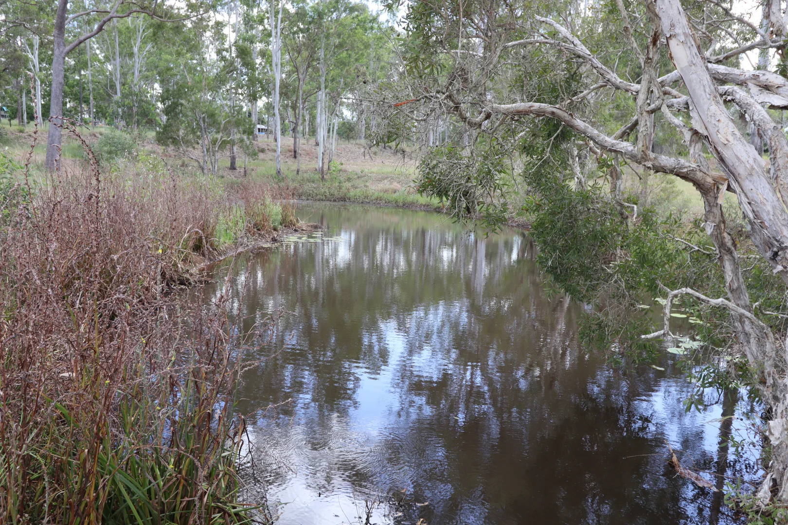 Additional image 15 of 95 Monduran Road, Yandaran QLD 4673
