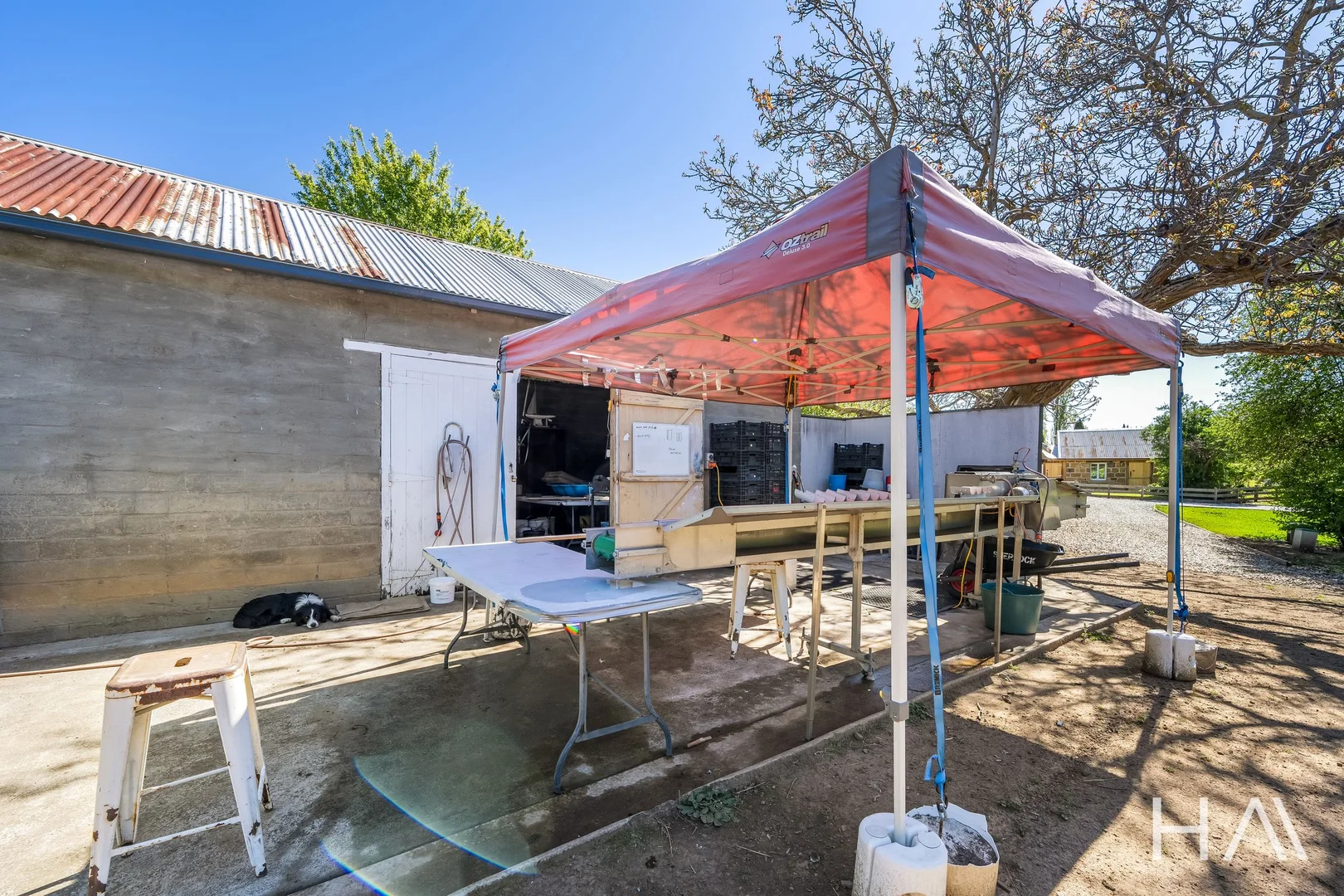 Additional image 57 of 1980 Lyell Highway, Hayes TAS 7140