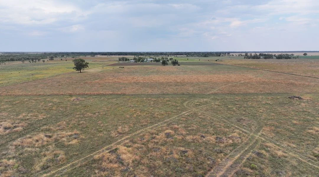 Additional image 5 of 48 Gurley Settlers Road, Gurley NSW 2398