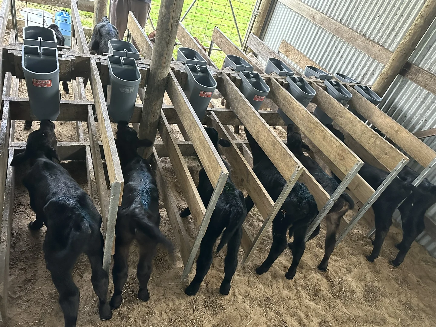 Additional image 28 of 90 Bischoffs Road, Pegarah TAS 7256