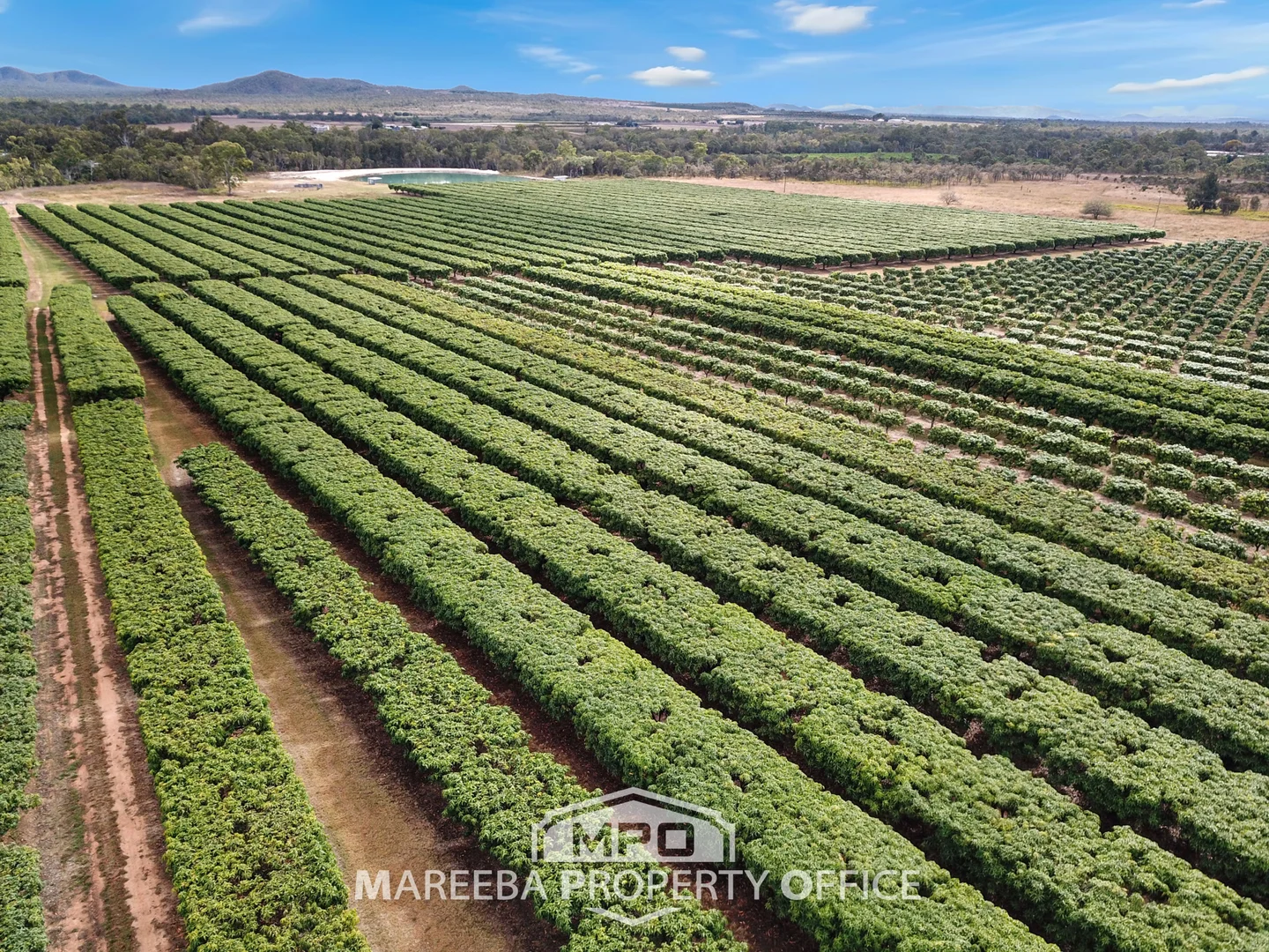 Additional image 9 of 65793 Burke Developmental Road, Dimbulah QLD 4872