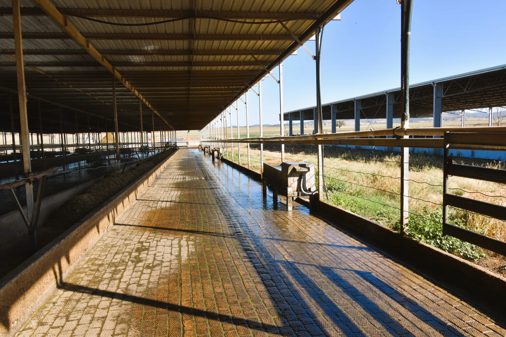 Additional image 16 of 448 Nangar Road, Canowindra NSW 2804