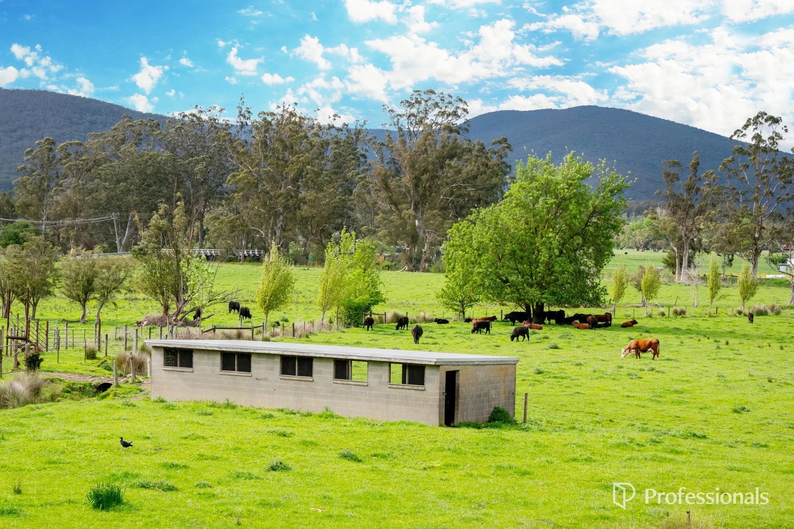 Additional image 33 of 230 Station Road, Wesburn VIC 3799