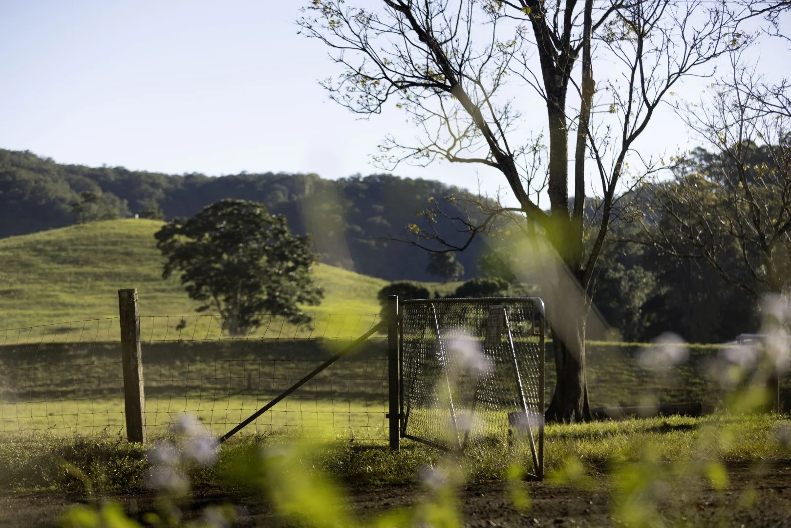 Additional image 12 of 492 River Road, Peachester QLD 4519