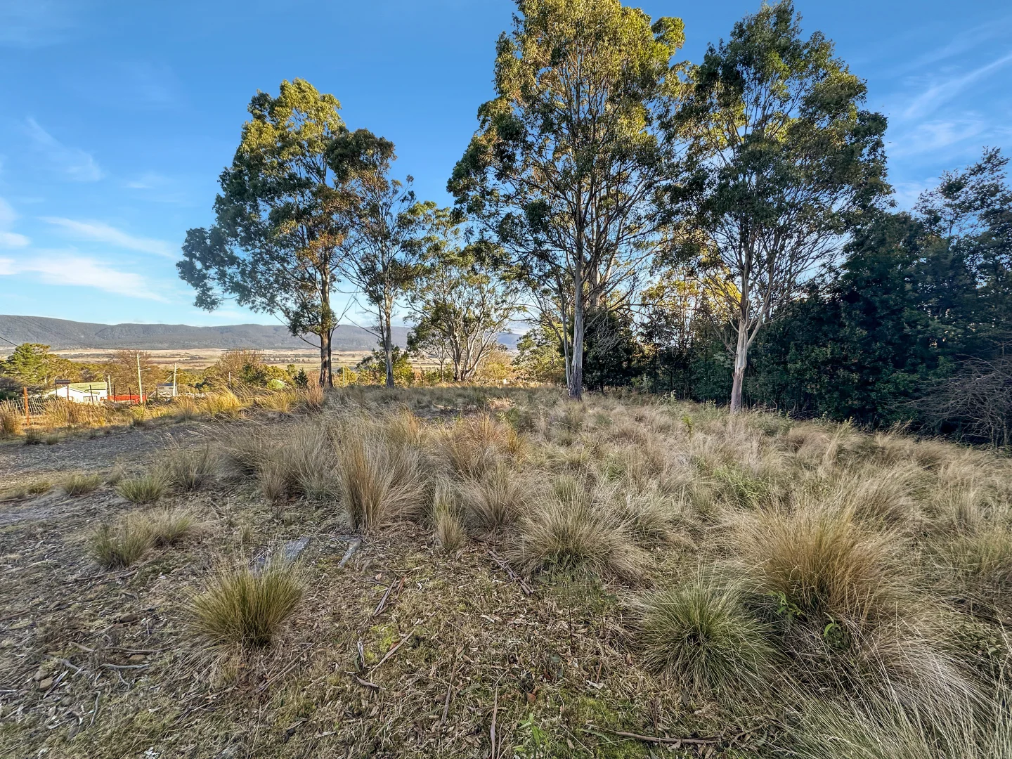 Additional image 10 of 14 Crosby Street, Cornwall TAS 7215