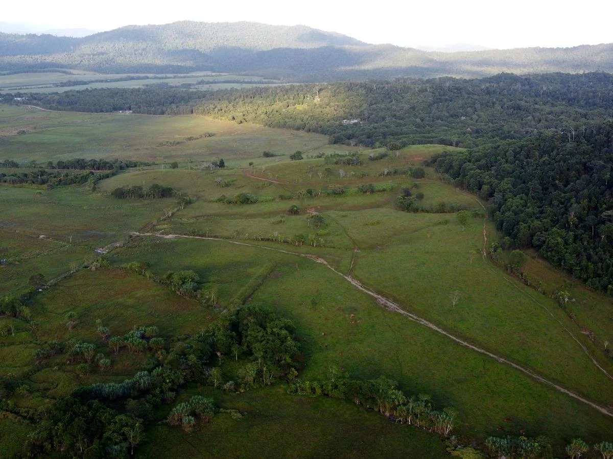 Additional image 34 of 000 Poppi Road, Cowley QLD 4871