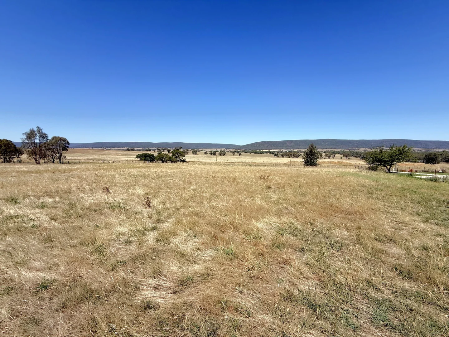 Additional image 4 of Lots 8 & 9 Wirrimah Road, Bendick Murrell via, Young NSW 2594
