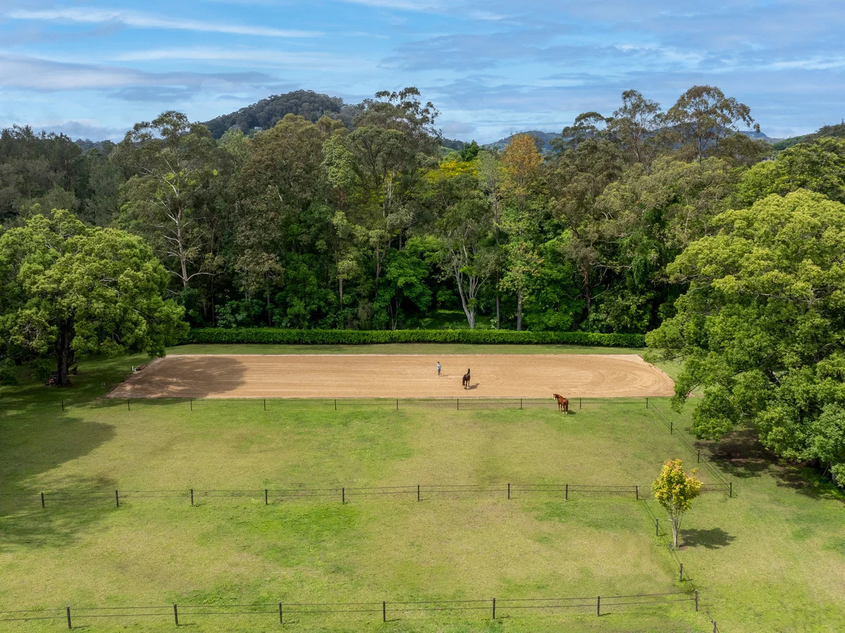 Additional image 3 of 557 Tallebudgera Creek Road, Tallebudgera Valley QLD 4228