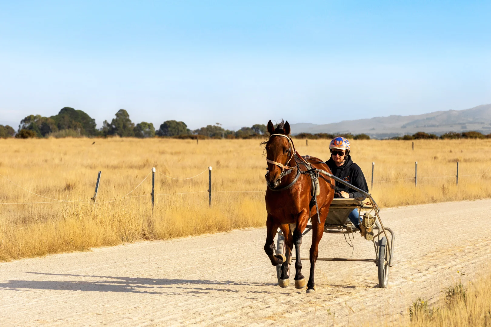 Additional image 19 of 61 Wiggins Road, Mitchell Park VIC 3355