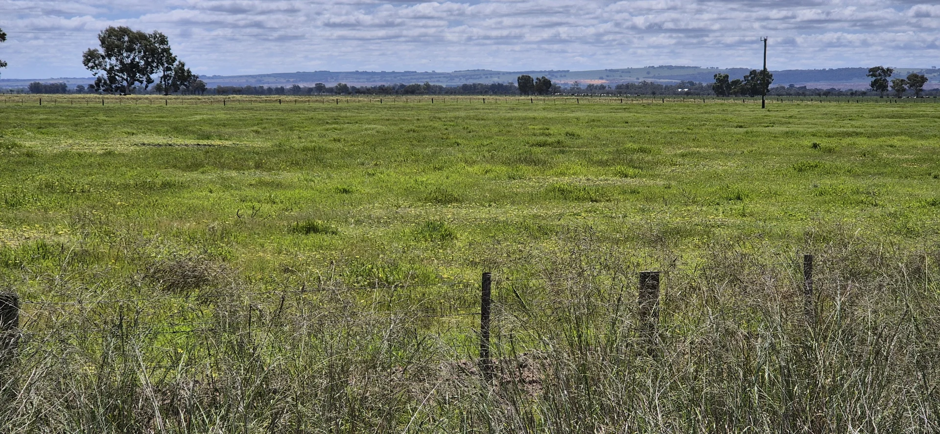 Additional image 10 of 4 Pin Pin Road, Beermullah WA 6503