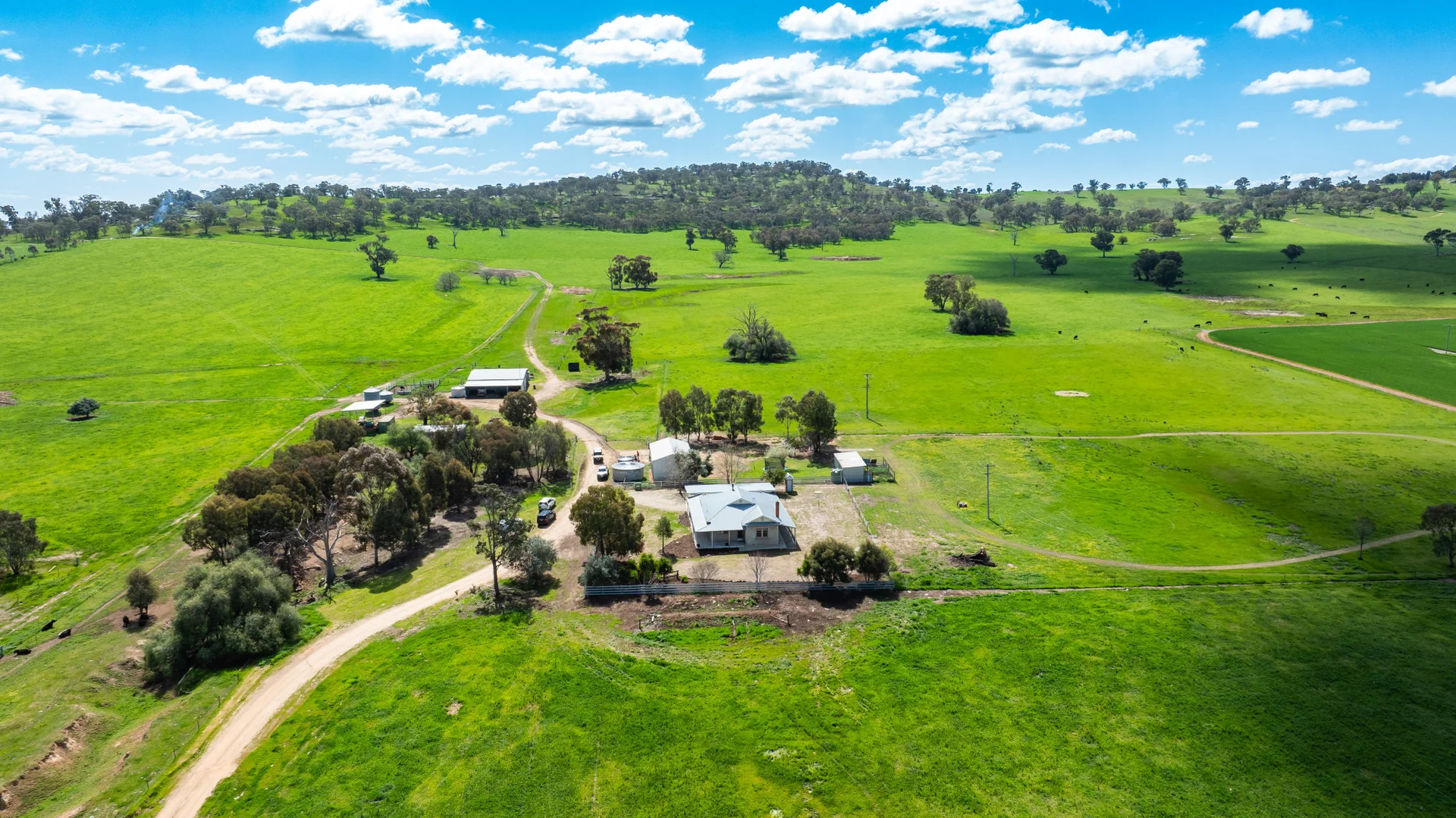 Additional image 3 of 413 Reynella Road, Walbundrie NSW 2642