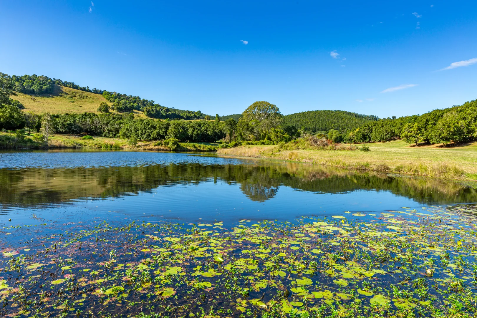 Additional image 4 of 323 Jensen Road, Lower Wonga QLD 4570