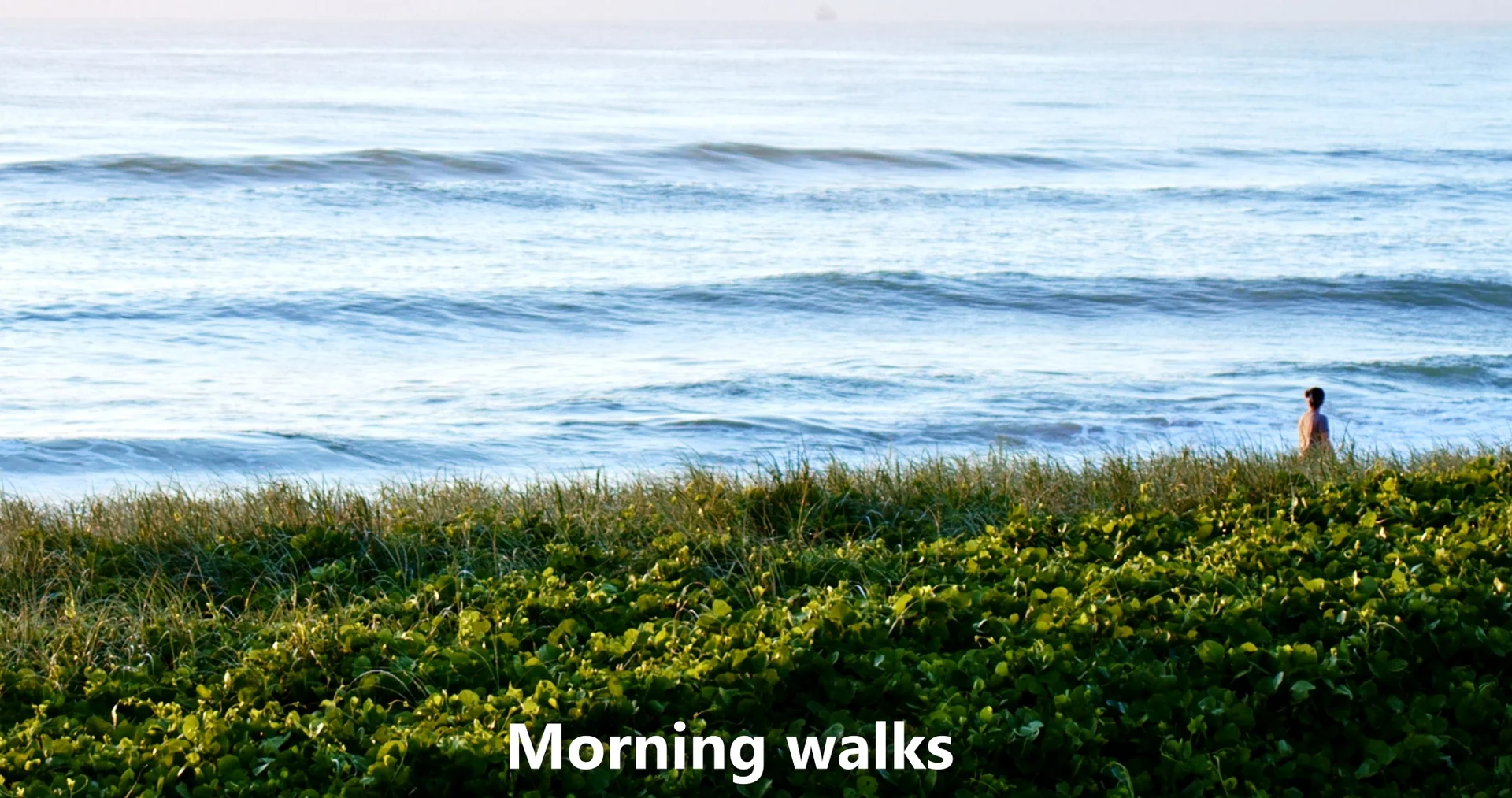 Additional image 8 of 32 MULGANI STREET, Warana QLD 4575