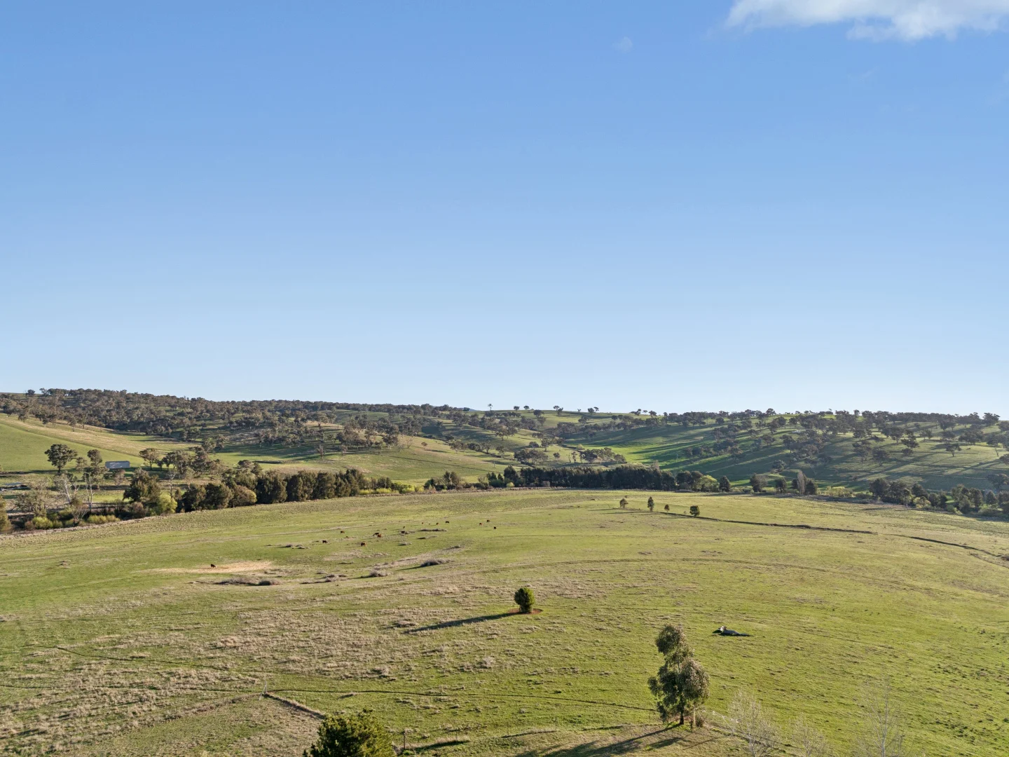 Additional image 43 of 808 White Rock Road, Bathurst NSW 2795