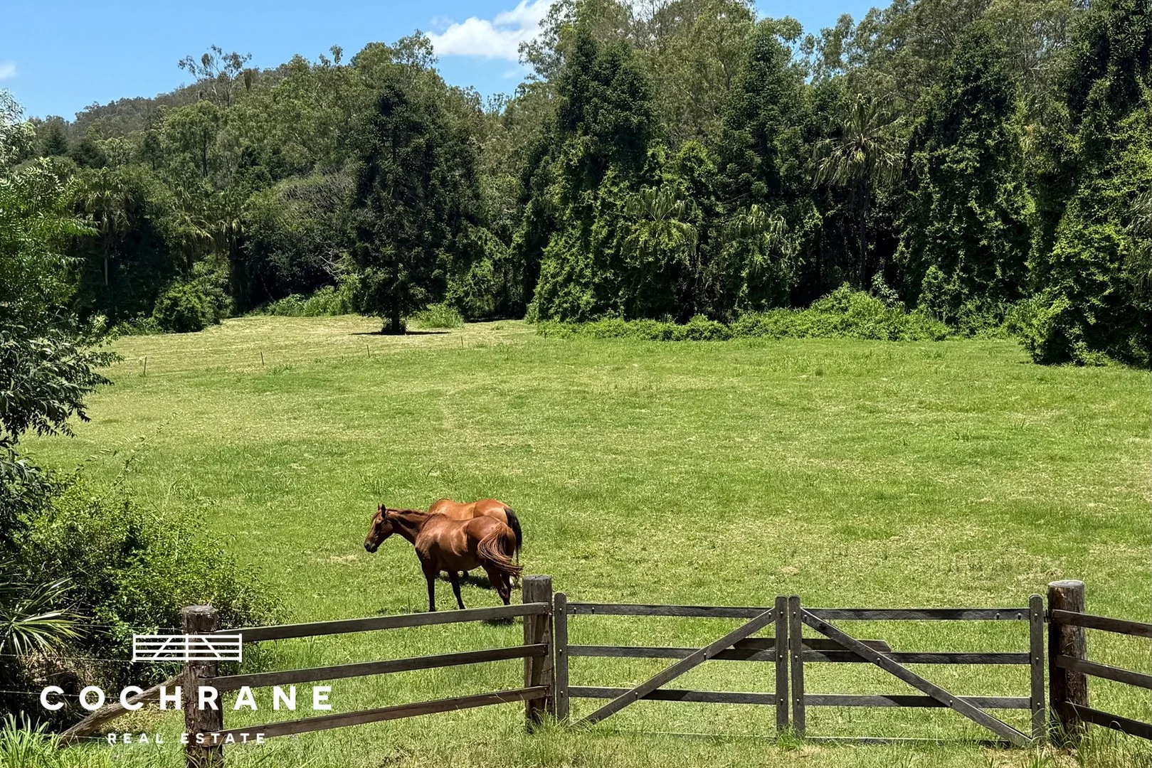 3 Tilba Road, Scrubby Creek QLD 4570