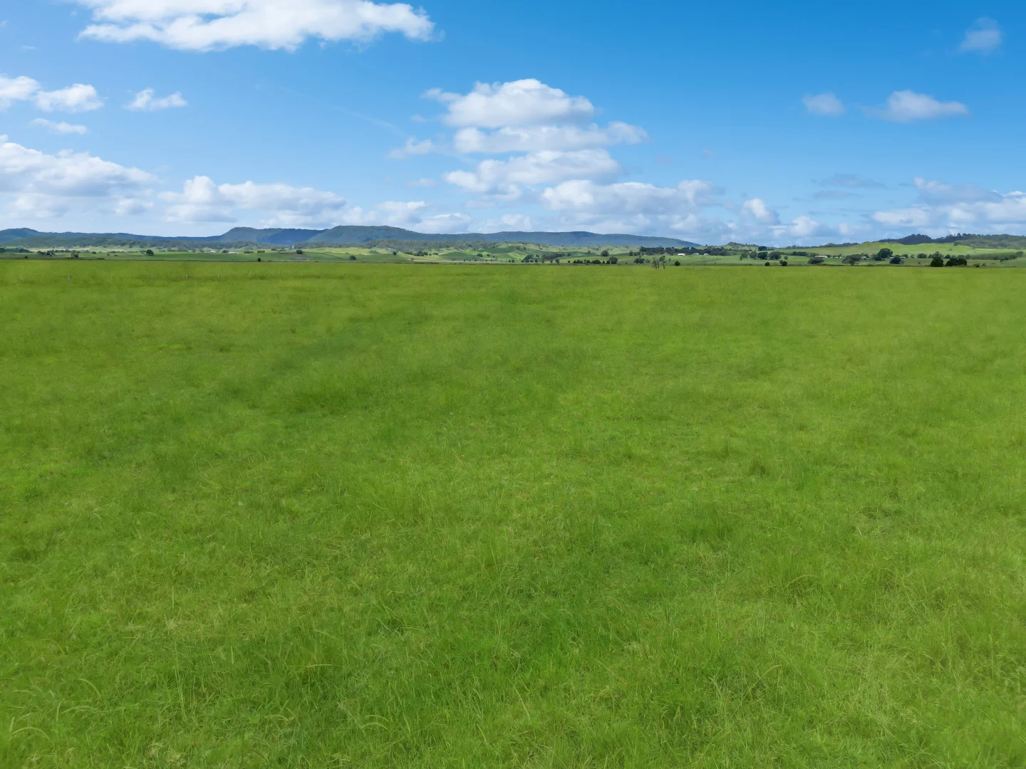 Additional image 6 of 89 O'Connors Road, Fairy Hill NSW 2470