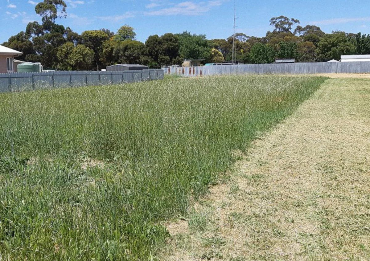 Additional image 6 of 45 Densley Avenue, Bordertown SA 5268