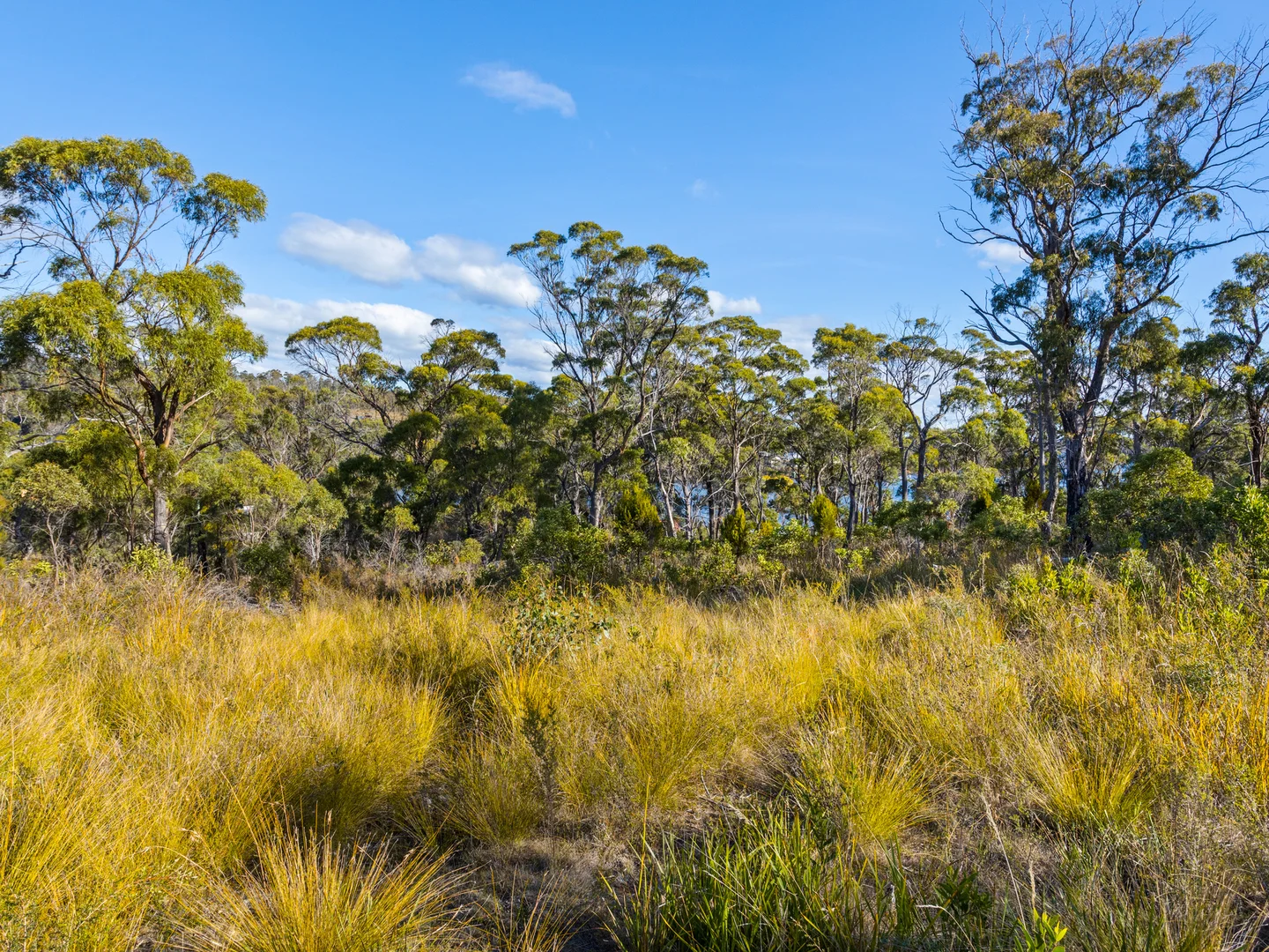 Additional image 23 of 4017 Arthur Highway, Murdunna TAS 7178